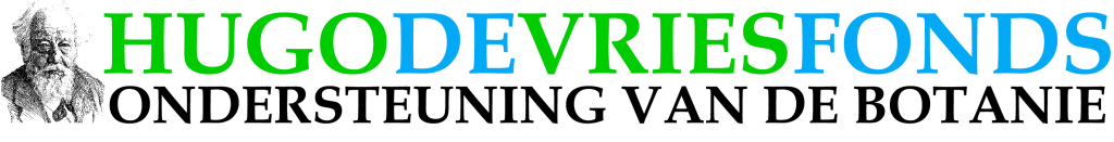 Patrocinador 1